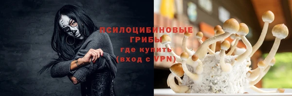 не бодяженный Богородицк