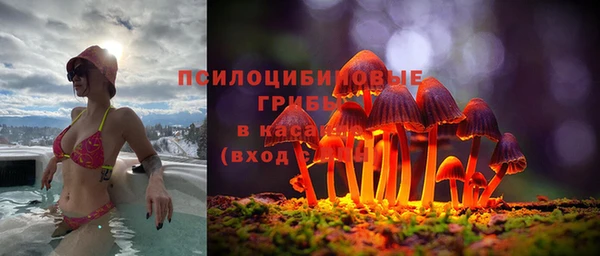 a pvp Богданович